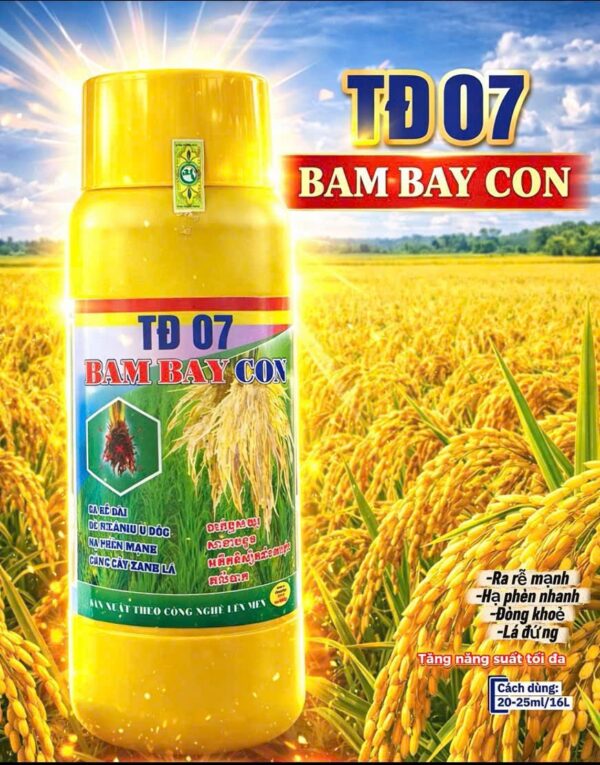 TĐ 07 – BAM BAY CON